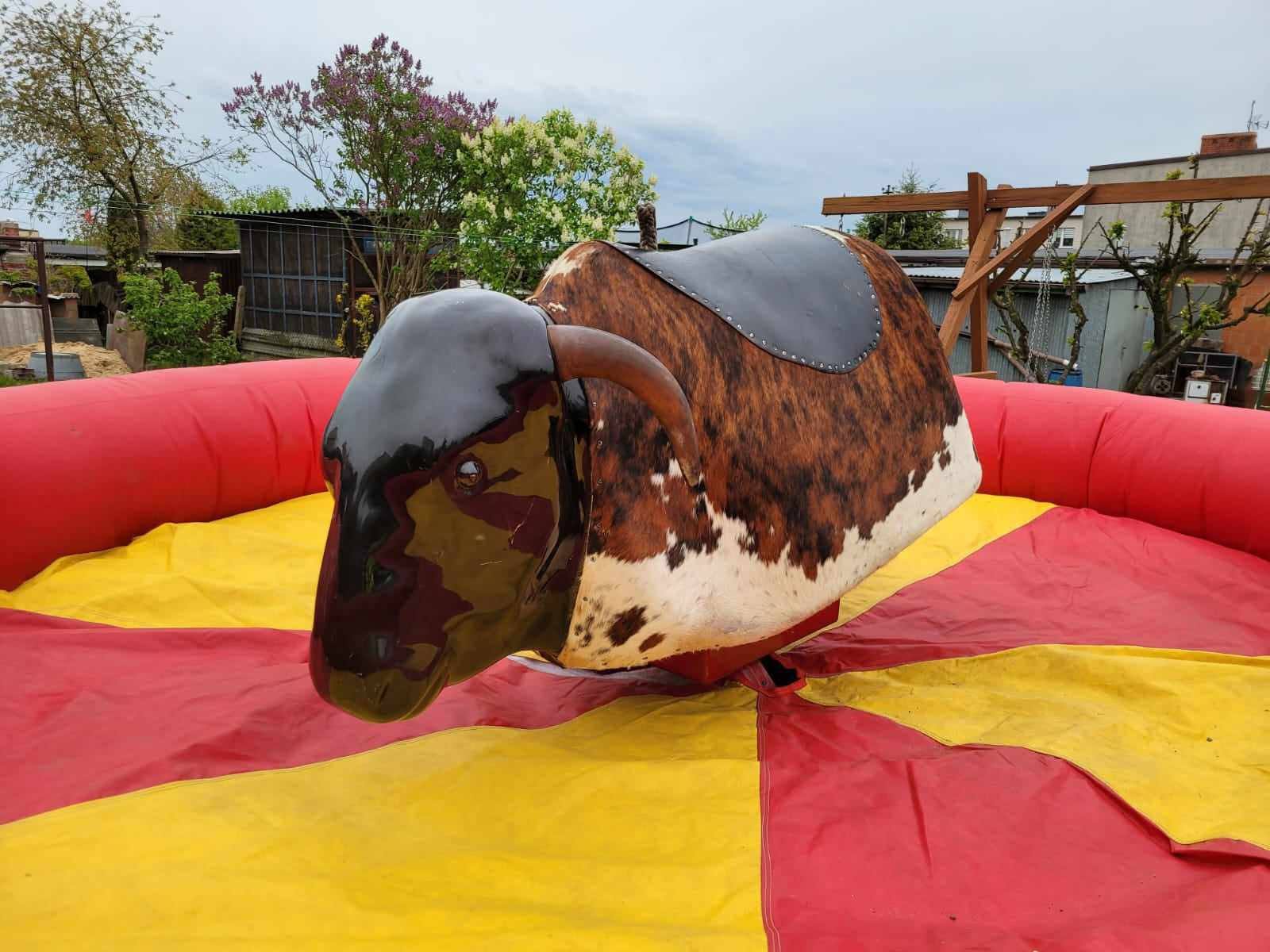 Byk Rodeo / Simulator